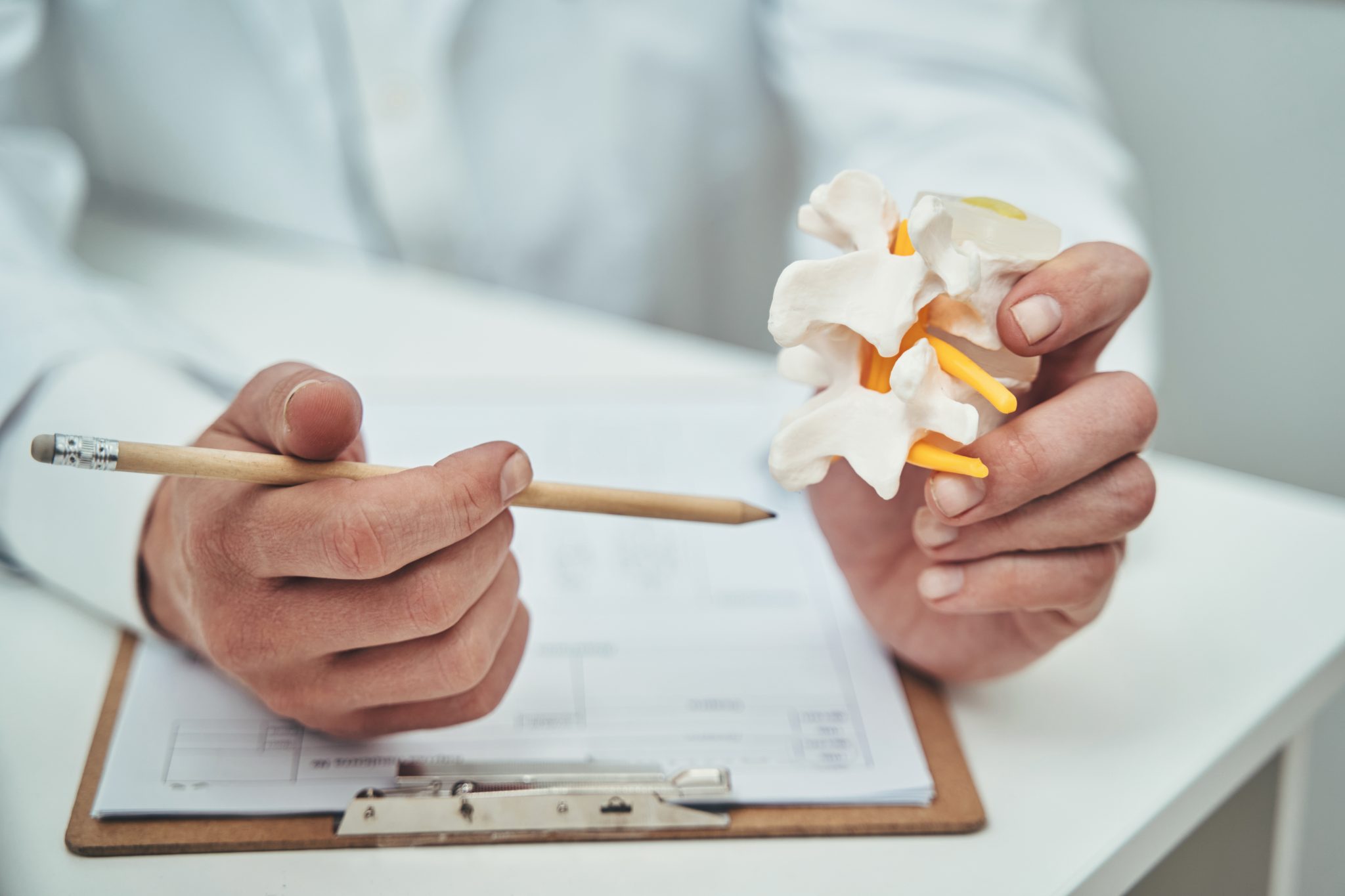 Doctor holding a section of a spine with a clipboard and pencil